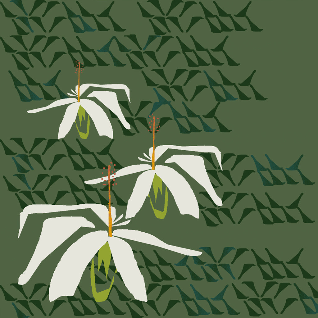 Kokiʻo - Forest