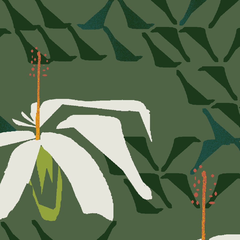 Kokiʻo - Forest