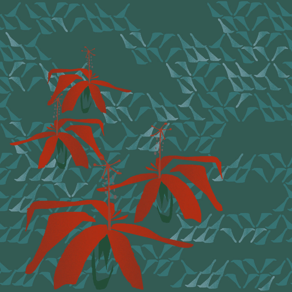 Koki'o -Teal