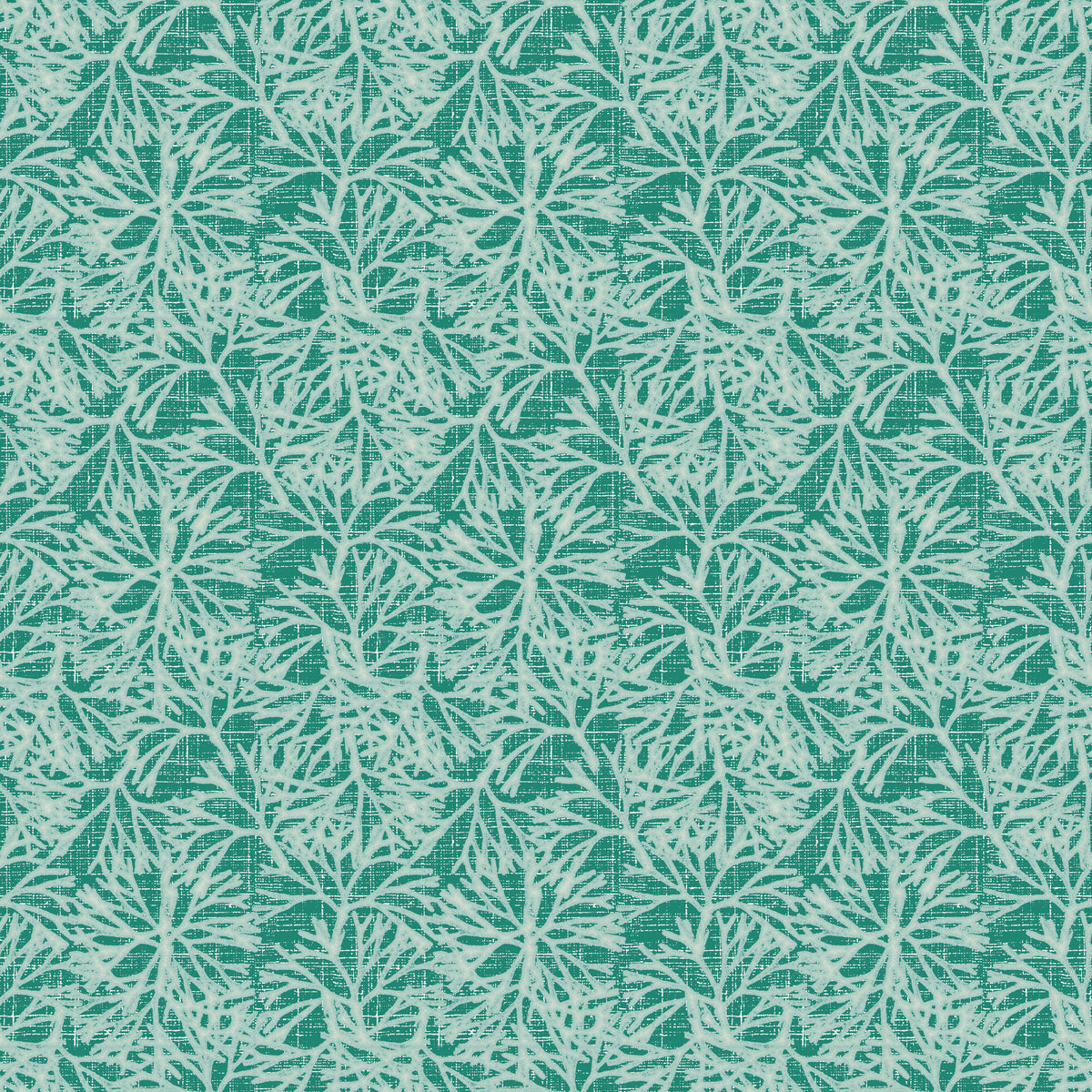 Limu Nui - Aqua