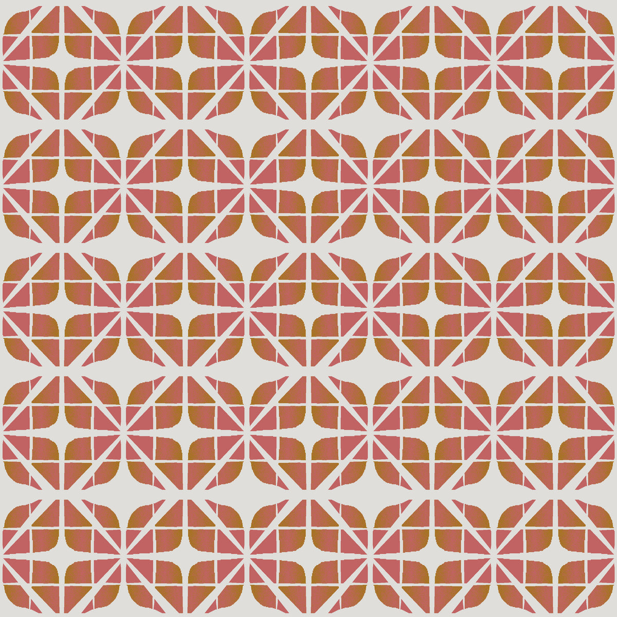 NN001 - Coral