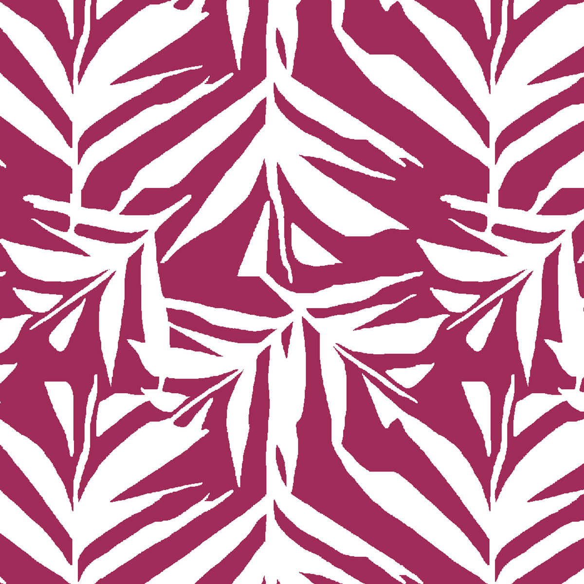 Laua'e - Magenta