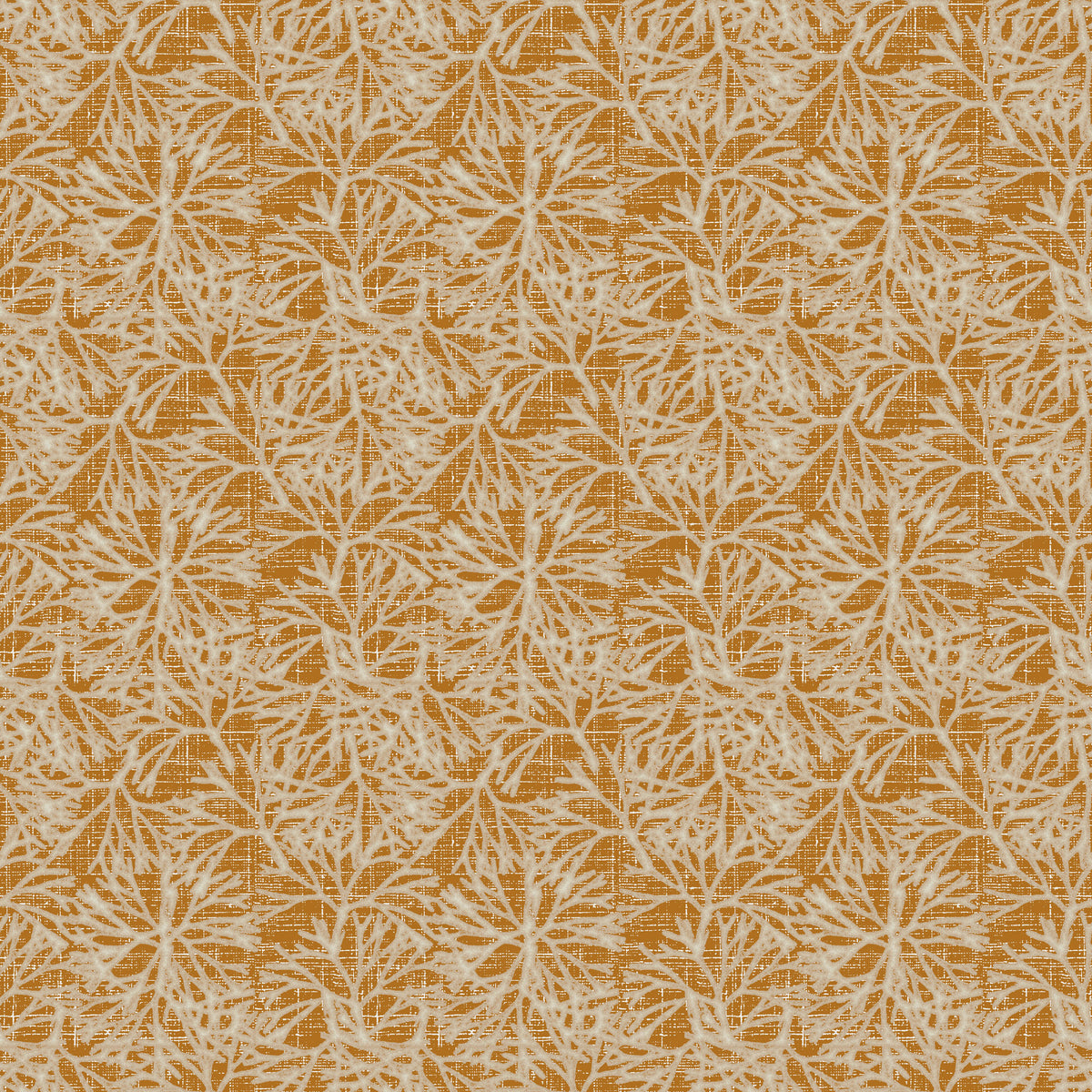 Limu Nui - Orange