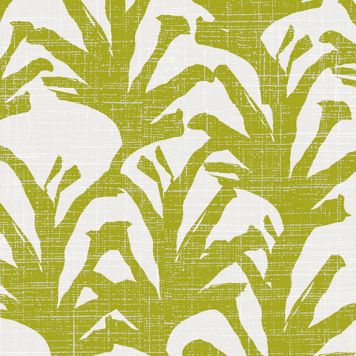 Lipoa - Chartreuse