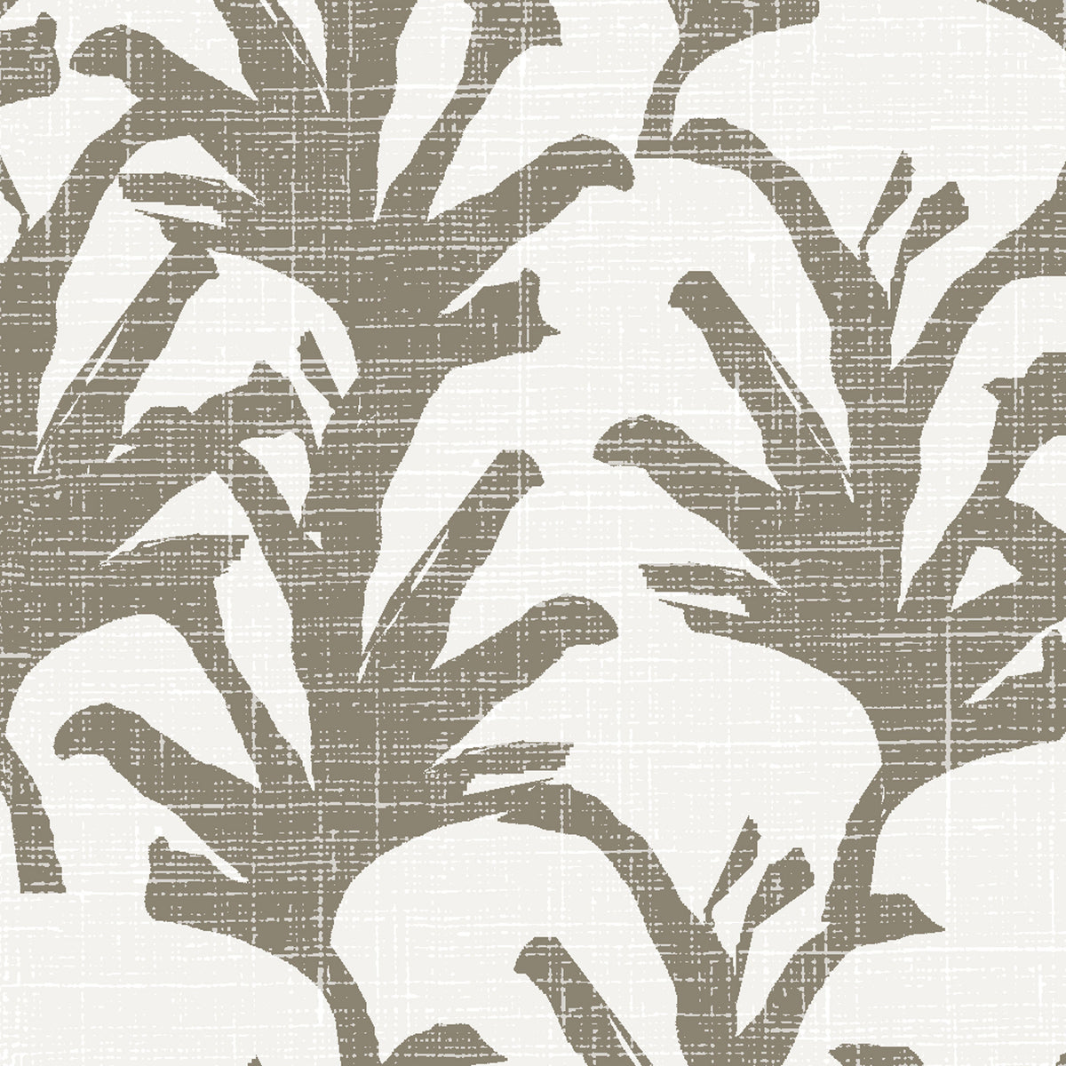 Lipoa - Taupe