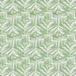 Lauaʻe - Mint