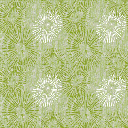 ʻOpihi - Lime Inverse