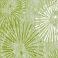 ʻOpihi - Lime Reverse